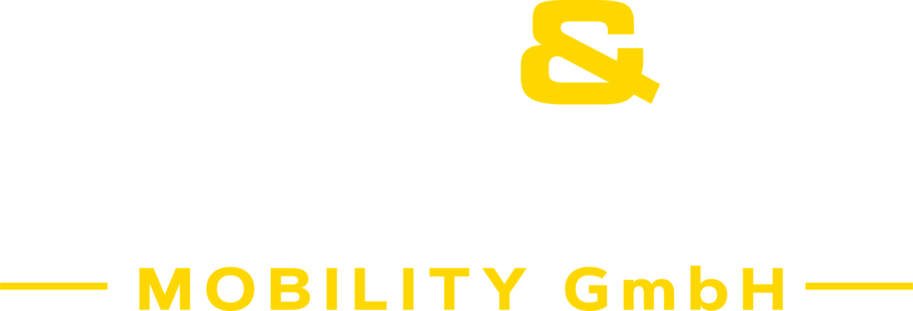 Lueb & Blenkers Mobility Logo